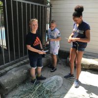  Insectenhotel maken voor in onze schooltuin!