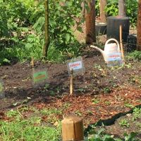 Aan de slag in de schooltuin!