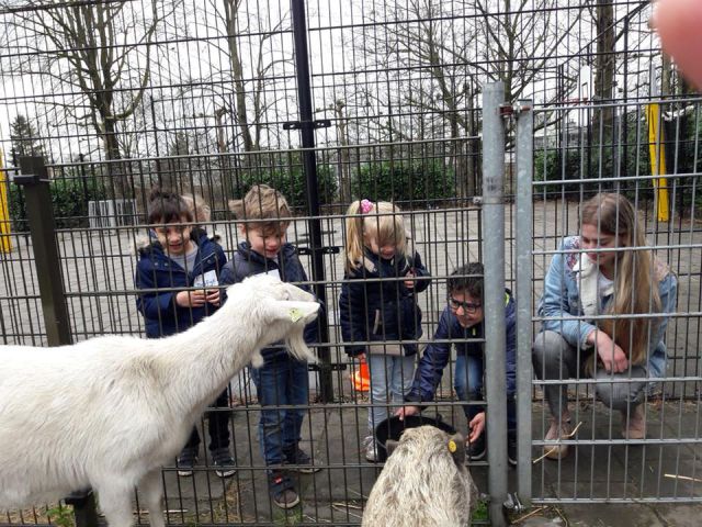 30127489 2082936715286431 193975581894571449 n